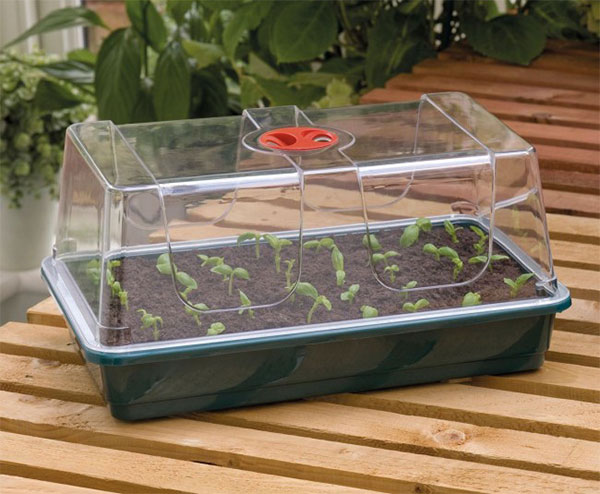 Large High Dome Propagator 38x23x18 CM
