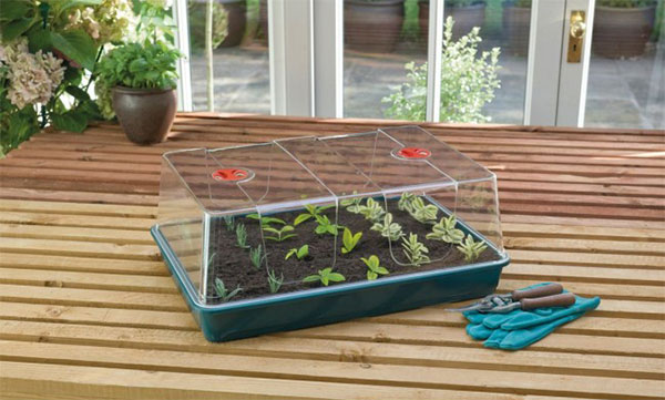 XL High Dome Propagator ( 58х40.5х9 см.)